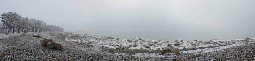 Nebel über dem Bodden